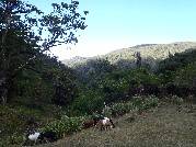 Etiopie 21.12.2010 (Dodola Mountains)