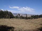 Etiopie 25.12.2010 (Bale Mountains)
