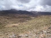 Etiopie 26.12.2010 (Bale Mountains)