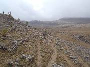 Etiopie 28.12.2010 (Bale Mountains)