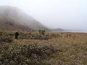 Etiopie 28.12.2010 (Bale Mountains)