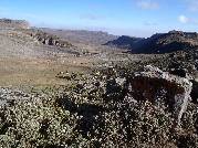 Etiopie 29.12.2010 (Bale Mountains)